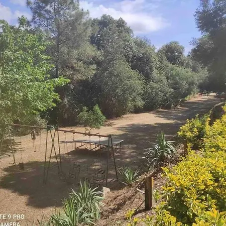 Belda Familiar Junto A Pinedas Mediterraneas Appartement